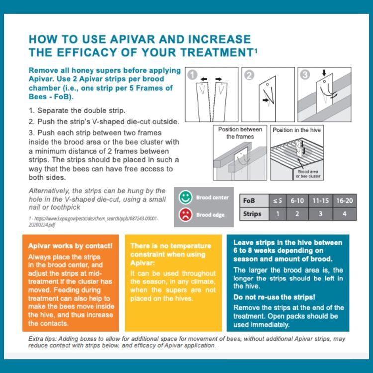 No. 1 - Apivar Mite Treatment - 4