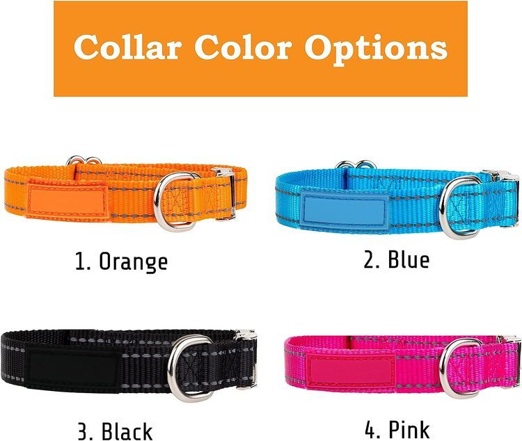 No. 3 - PAWBLEFY Personalized Dog Collar - 5