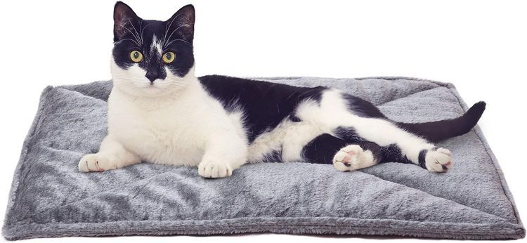 No. 5 - Furhaven ThermaNAP Self-Warming Cat Bed - 1