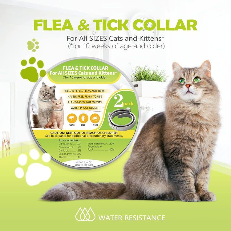 No. 8 - RibRave Cat Flea Collar - 2