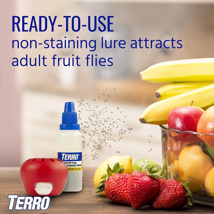 No. 3 - Terro T2503SR Indoor Fruit Fly Killer and Trap - 3