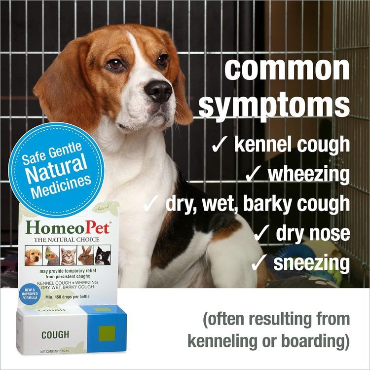 No. 1 - HomeoPet Cough Medicine - 3