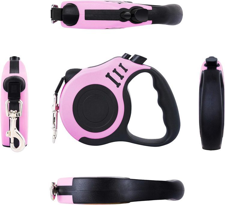 No. 10 - Retractable Leash - 2