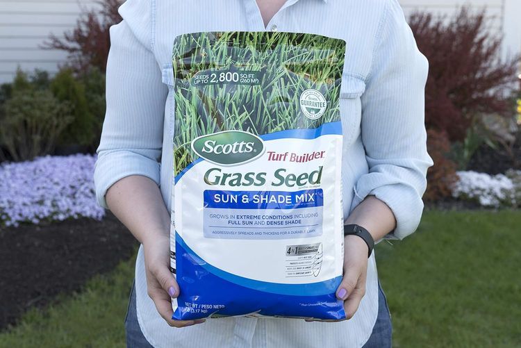 No. 1 - Scotts Turf Builder Grass Seed Sun & Shade Mix - 2