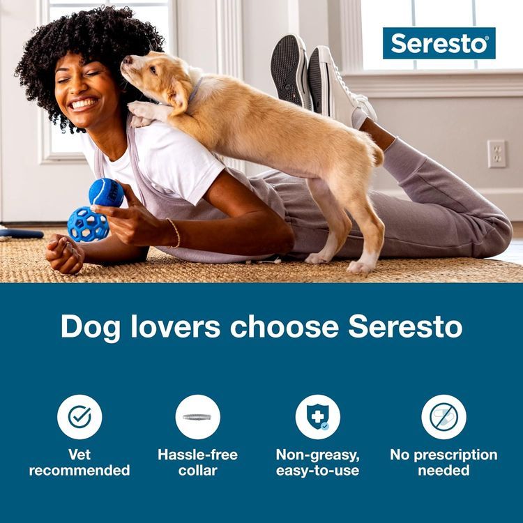 No. 2 - Seresto Small Dog Flea & Tick Collar - 3