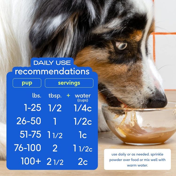 No. 1 - Native Pet Bone Broth, Food Gravy Topper - 5