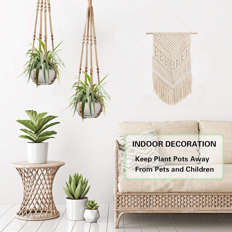 No. 7 - Augshy Plant Hangers - 5