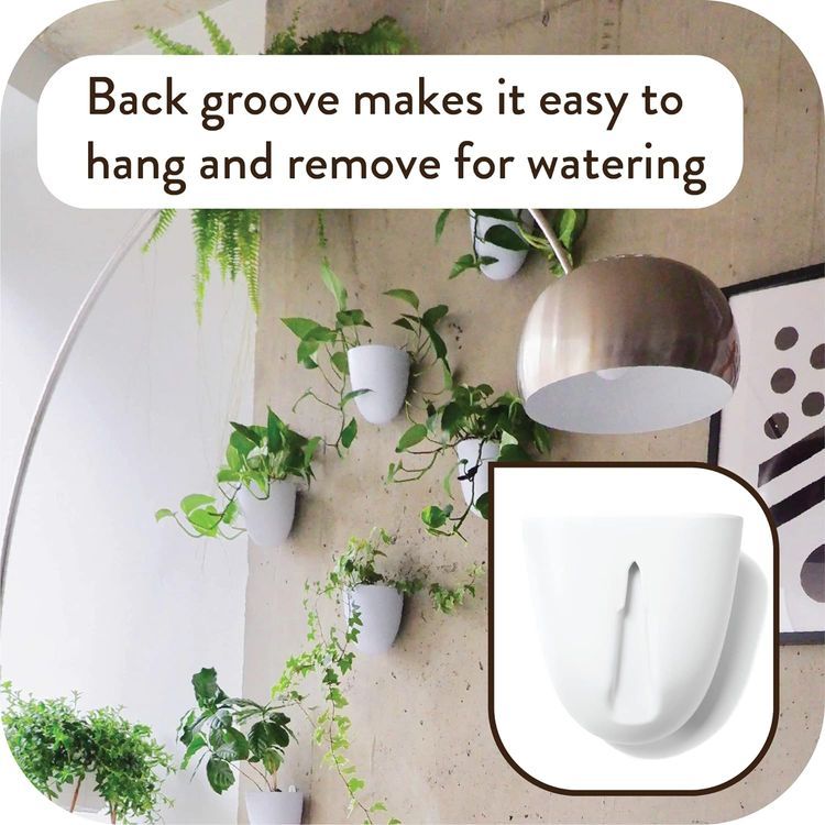 No. 2 - Virgo Self-Watering Wall Planters - 4