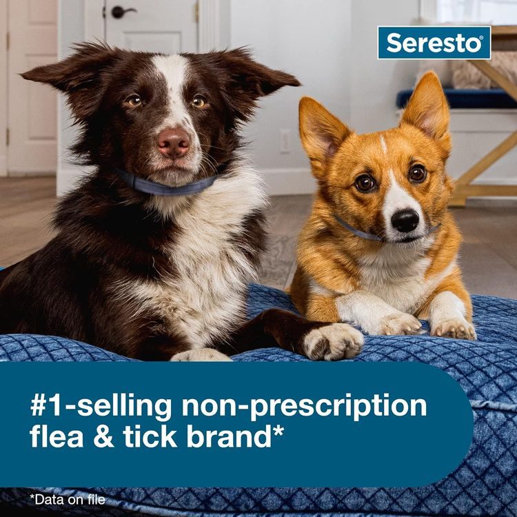 No. 2 - Seresto Small Dog Flea & Tick Collar - 5