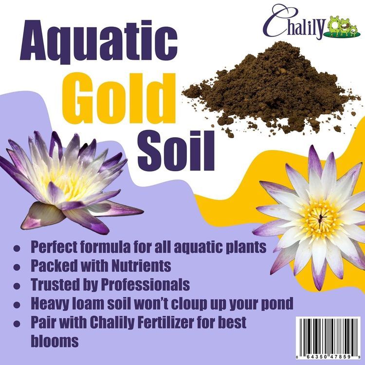 No. 2 - Chalily Aquatic Gold Soil - 3