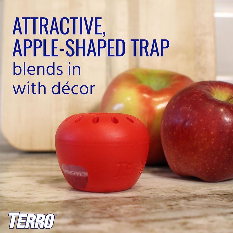 No. 3 - Terro T2503SR Indoor Fruit Fly Killer and Trap - 4