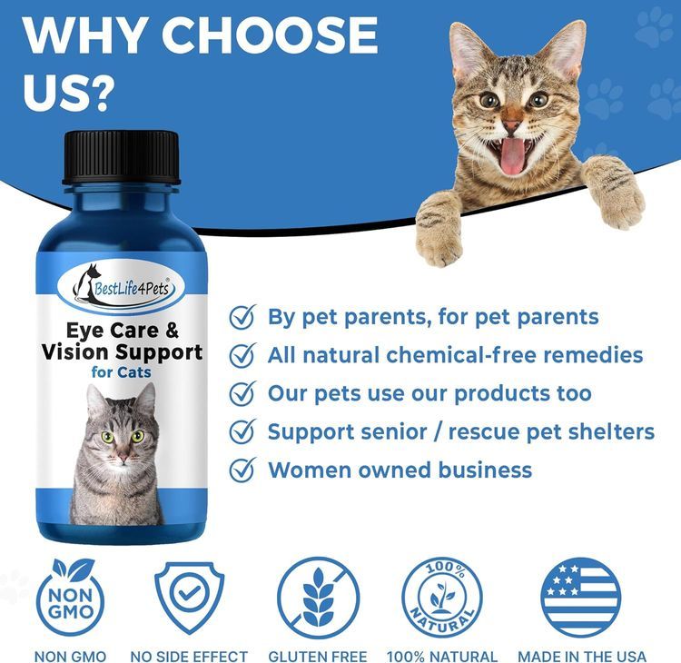 No. 2 - BestLife4Pets Eye Care and Vision Support - 5