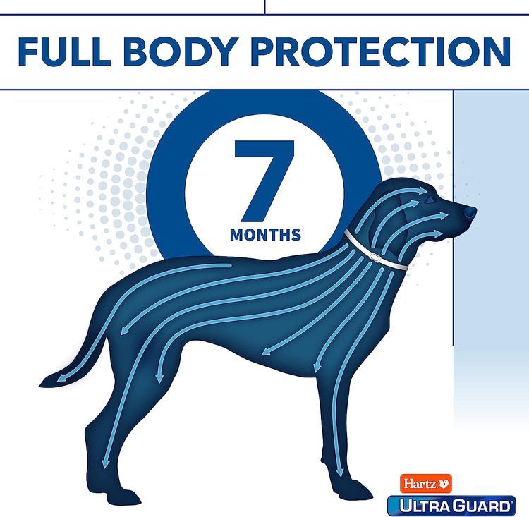 No. 8 - Hartz UltraGuard Plus Reflective Orange Collar - 5