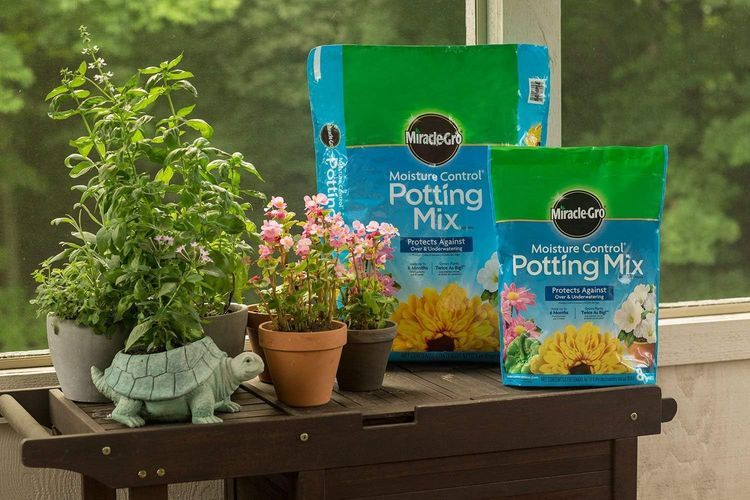 No. 10 - Miracle-Gro Moisture Control Potting Mix - 2