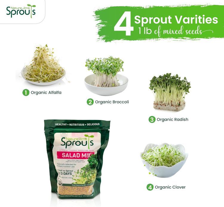 No. 2 - Salad Sprout Mix - 2