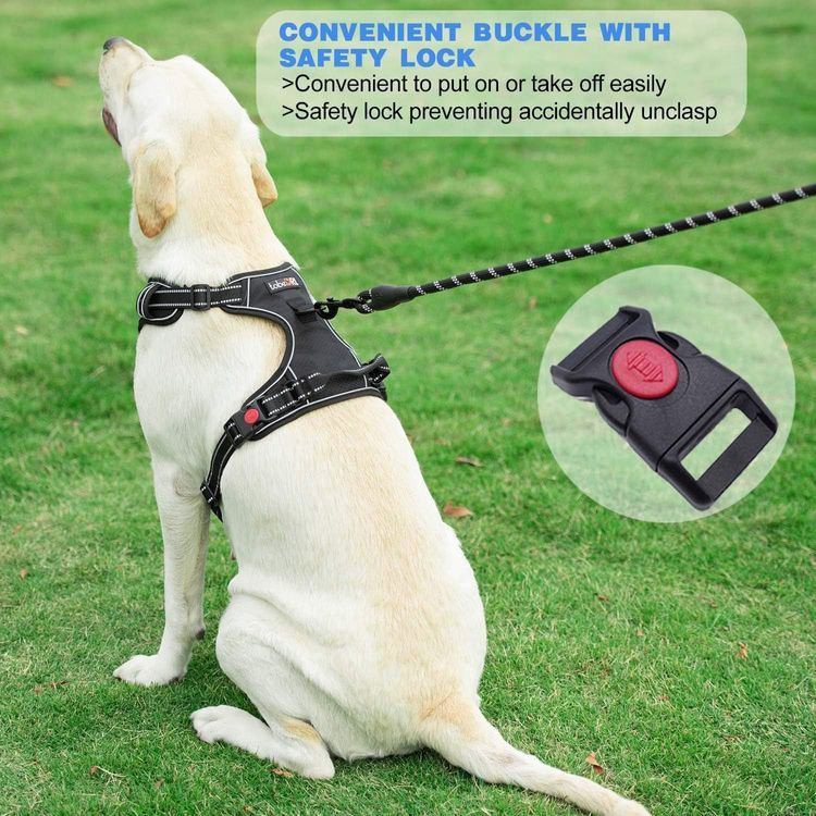 No. 9 - tobeDRI No Pull Dog Harness - 4