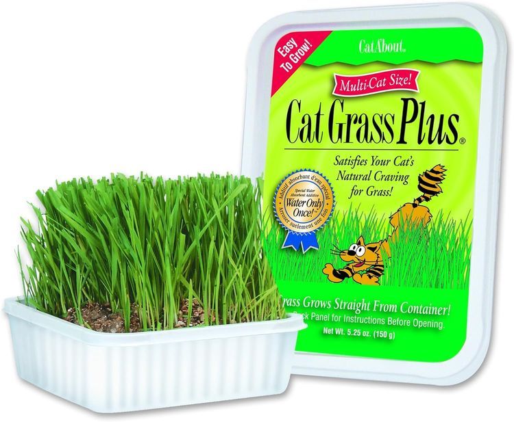 No. 5 - Miracle Care Cat Grass - 1