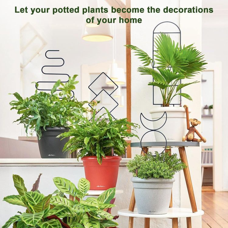 No. 2 - Wellsign Indoor Plant Trellis - 5