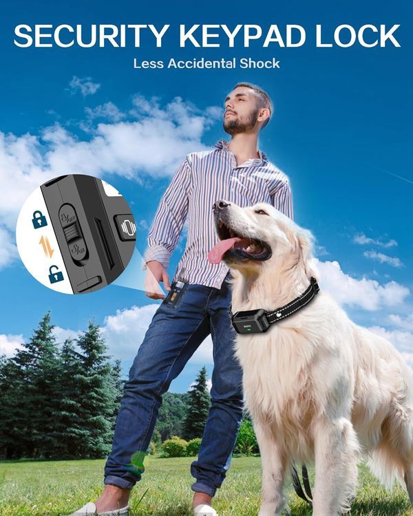 No. 7 - Dog Shock Collar with Remote - 5