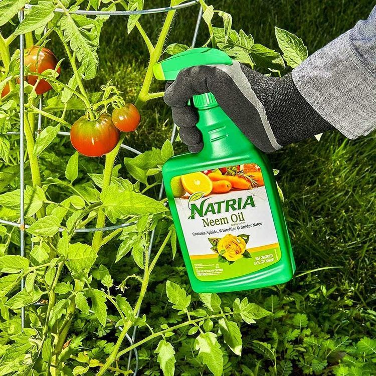 No. 2 - Natria 706250A Neem Oil Spray for Plants Pest Organic Disease Control - 4