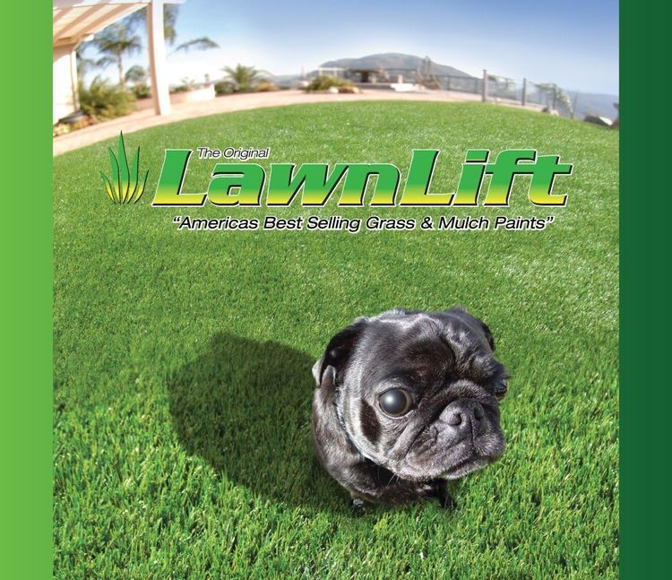 No. 7 - LawnLift Grass Paint - 5