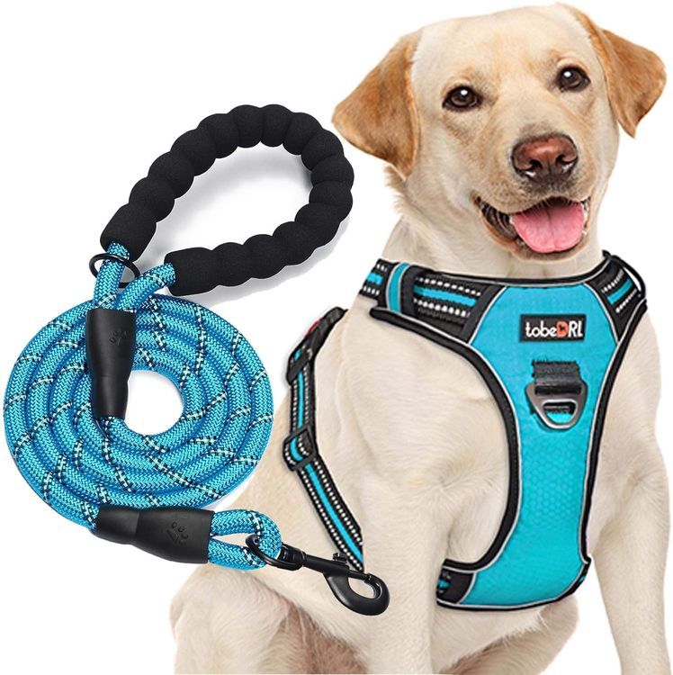 No. 9 - tobeDRI No Pull Dog Harness - 1