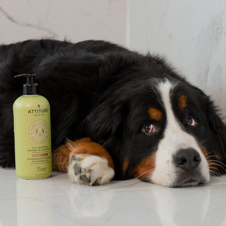 No. 6 - ATTITUDE Pet Shampoo and Conditioner - 3