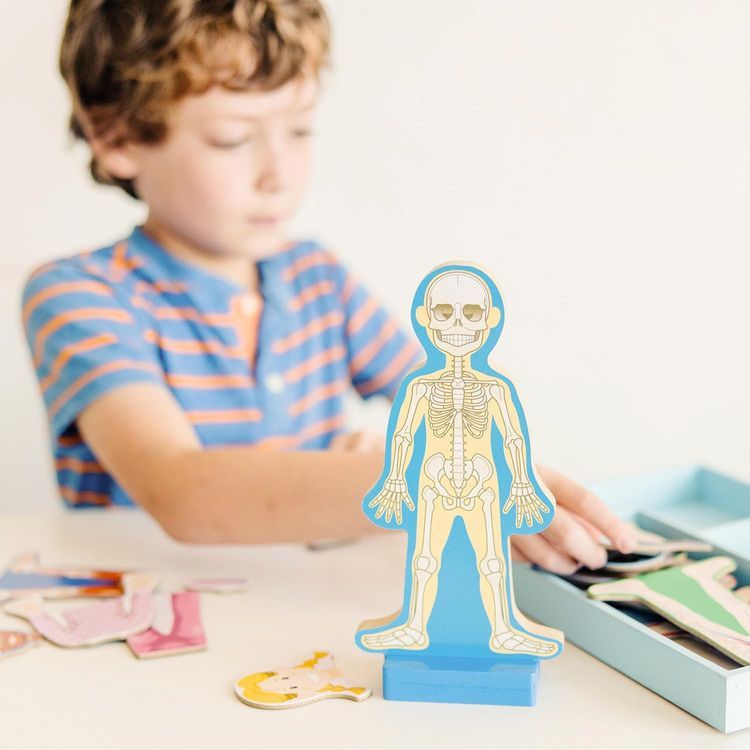 No. 2 - Magnetic Human Body Anatomy Playset - 2