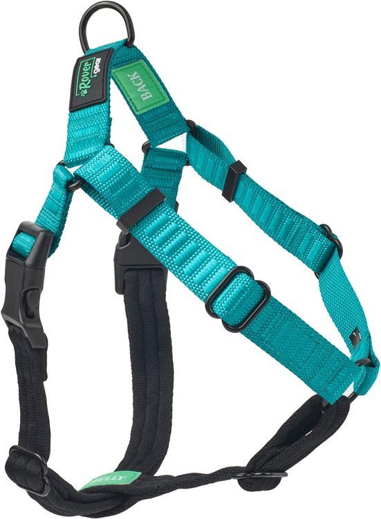 No. 8 - Rover Gear Better Walk No Pull Dog Harness - 1