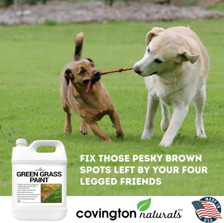 No. 8 - COVINGTON NATURALS Lawn Paint - 4