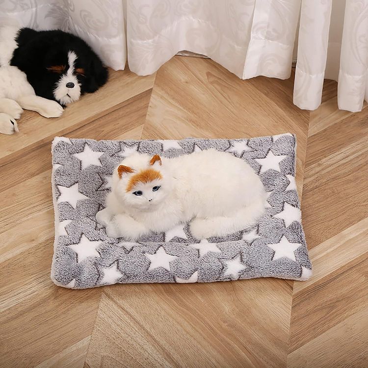 No. 9 - Calming Cat Blanket - 1