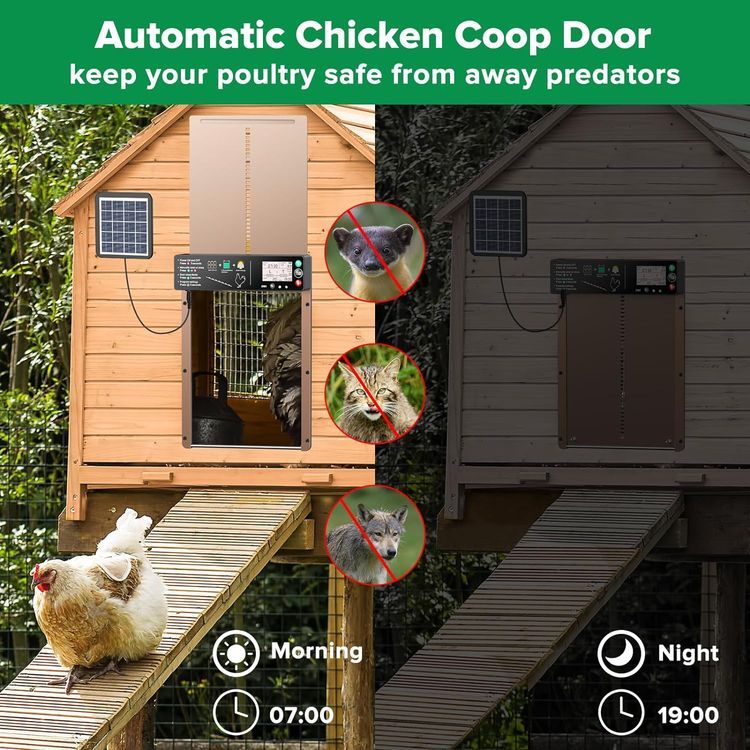 No. 9 - Automatic Chicken Coop Door - 2