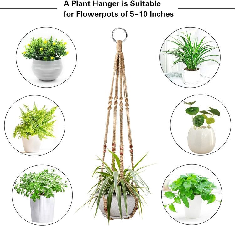 No. 7 - Augshy Plant Hangers - 4