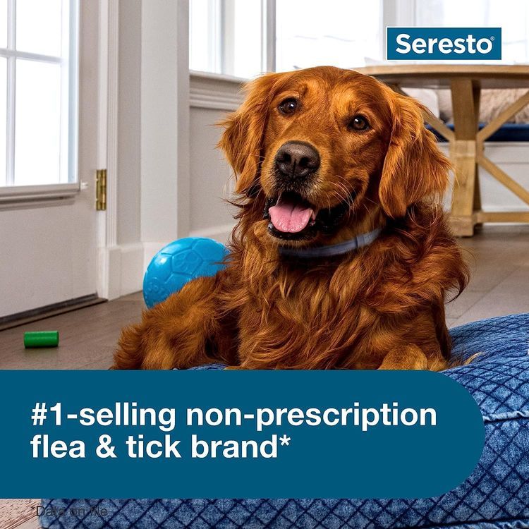 No. 3 - Seresto Large Dog Flea & Tick Collar - 5