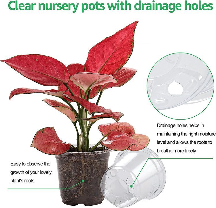 No. 3 - Bluepro Plastic Planter Nursery Pots - 3