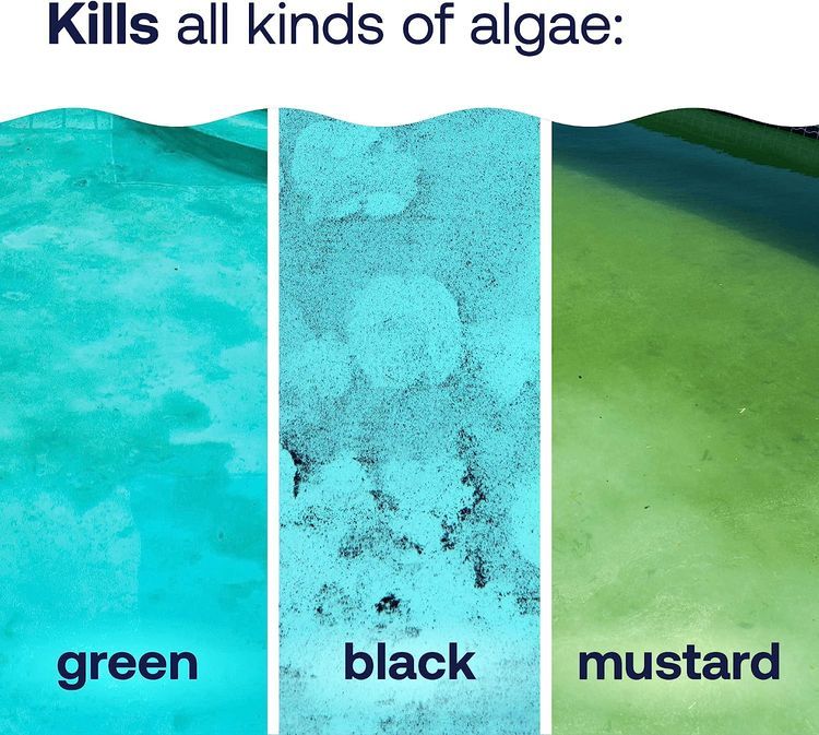 No. 6 - HTH 67084 Swimming Pool Care Algae Guard Advanced - 3