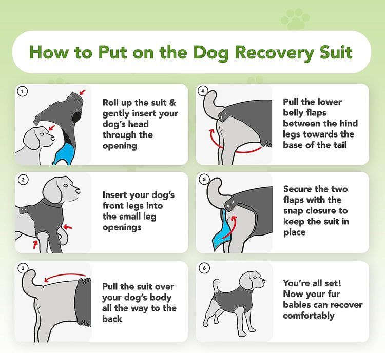 No. 1 - Suitical Dog Surgery Suit - 5