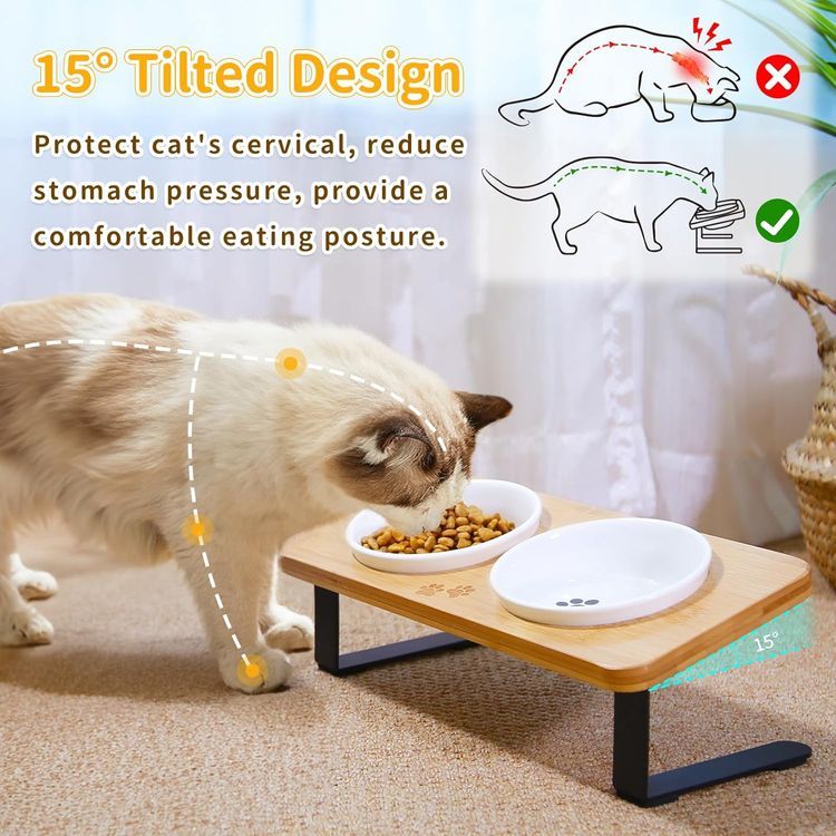 No. 8 - Ceramic Elevated Cat Bowls - 2