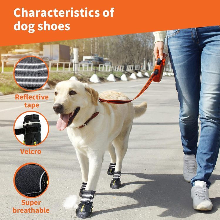 No. 9 - DcOaGt Dog Boots - 3