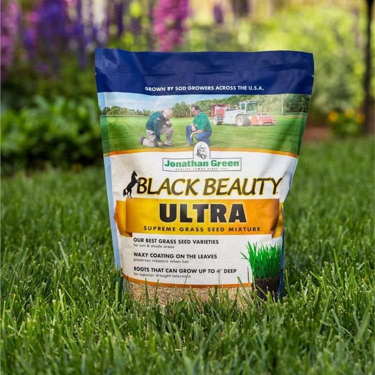 No. 8 - Jonathan Green Black Beauty Ultra Grass Seed - 3