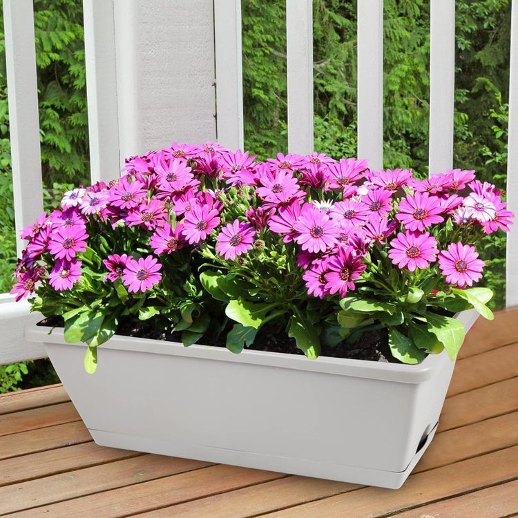 No. 3 - 8pcs Window Box Planter - 3