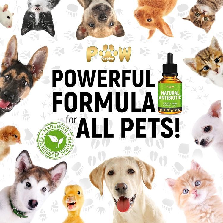 No. 6 - Golden Paw Herbal Supplement - 5