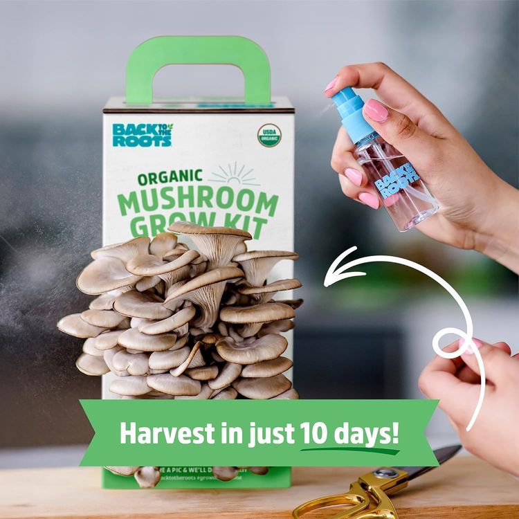 No. 4 - Back to the Roots Organic Oyster Mushroom Grow Kit - 4