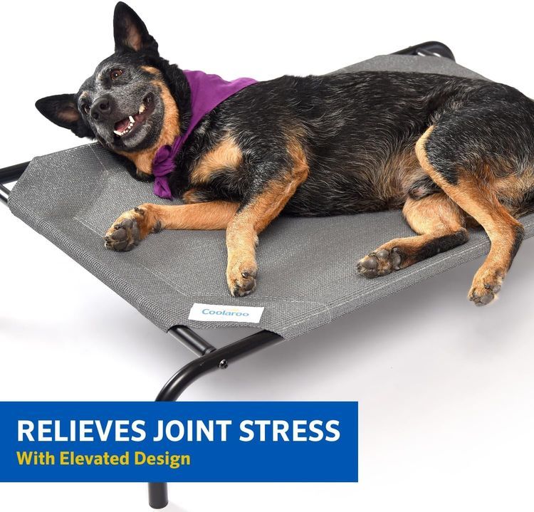 No. 10 - Coolaroo Elevated Dog Bed - 3