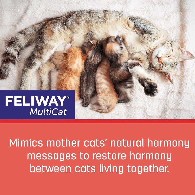 No. 4 - FELIWAY MultiCat Diffuser - 4