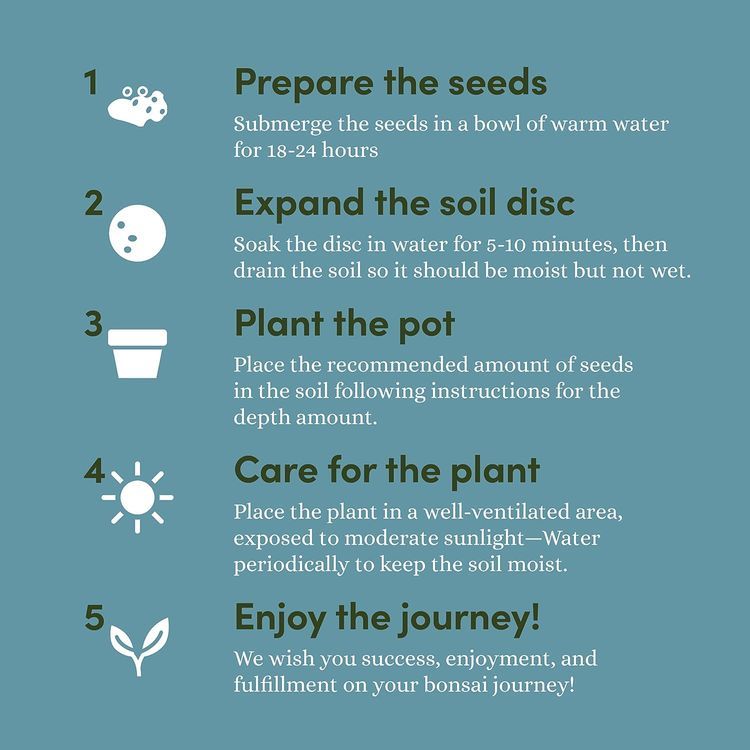 No. 5 - Planters' Choice Bonsai Kit - 5