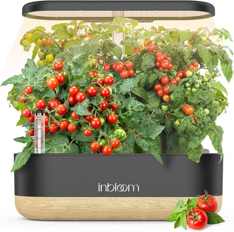 No. 7 - InBloom Hydroponics Growing System - 1