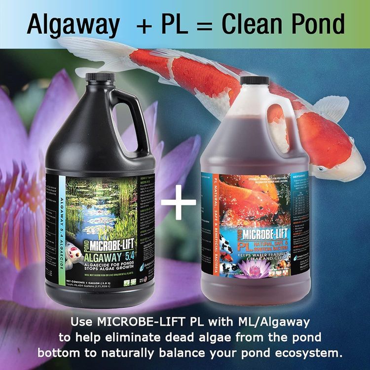 No. 7 - MICROBE-LIFT ALGA08 Algaway 5.4 - 3