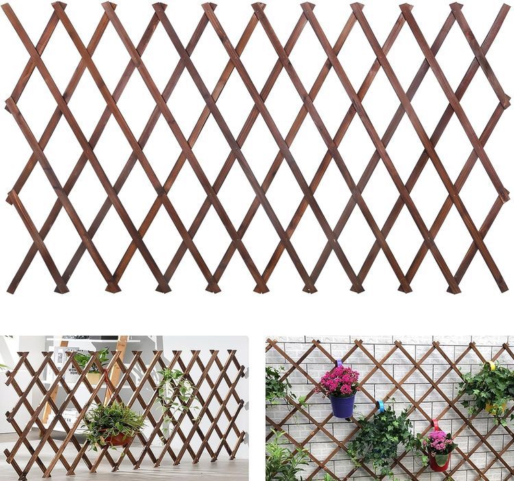 No. 9 - Expandable Garden Trellis - 1