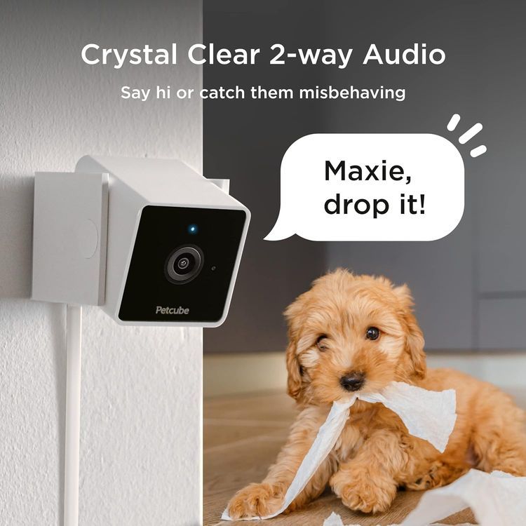 No. 4 - Petcube Cam Indoor Wi-Fi Pet and Security Camera - 3